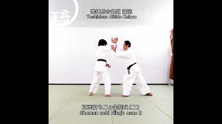 正面打ち二ヶ条抑え（二）Shomen uchi Nikajo osae 2 #Shorts #aikido #budo #australia