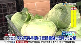 菜好貴!天冷菜長得慢 高麗菜.茼蒿漲5成│中視新聞 20210113