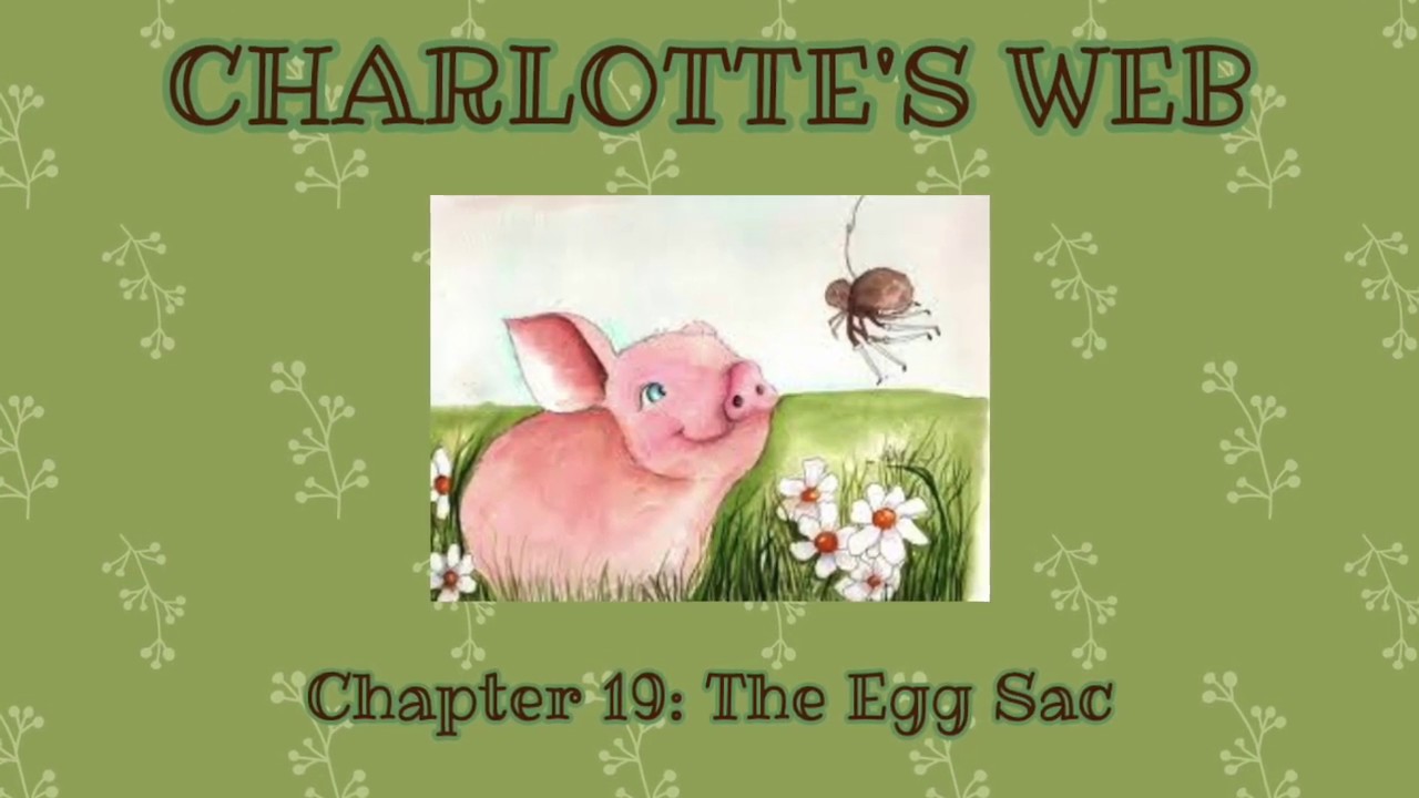 Charlotte S Web Chapter 19 The Egg Sac Youtube