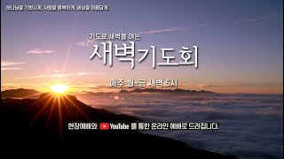 예향교회 I 새벽 예배(25.2.11) I 레위기 26:1~46 I 백현준 목사