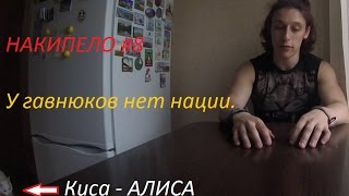 НАКИПЕЛО #8 - НеКавказ  – У гавнюков нет нации