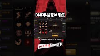 【超燃骨骨】DNF手游宠物系统