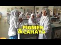 Idea P&P Sains - Perbezaan Pigmen & Cahaya I