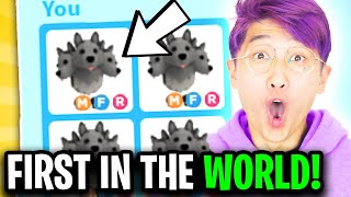 LANKYBOX SURPRISES BEST FRIEND With HALLOWEEN DREAM PET In ADOPT ME!? (MEGA NEON CERBERUS!)