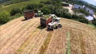 Classic mercedes tractors harvesting silage