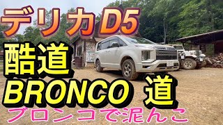 【デリカD5】アウトドアパーク・BRONCO （ブロンコで泥んこ）　ブロンコ道 から受付までの１、４Kmの酷道