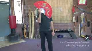 Tai Chi Fan