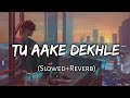 Tu Aake Dekhle (Lofi) King | The Carnival | The Last Ride | Prod.By Shahbeatz | Latest Lofi