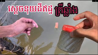 ប្រាប់ពីរបៀបស្ទួចត្រីឆ្លាំងនុយដីឥដ្ឋ ទំនាក់ទំនងលេខ069433435។#fishing