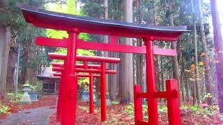 東北巡礼フィールドワーク第3日　巌鬼山神社、岩木山神社、大石神社、アラハバキ神社（神明社）、竜飛岬　2023年11月8日