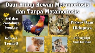 Daur Hidup Hewan Metamorfosis dan tanpa Metamorfosis Pengertian contoh lengkap