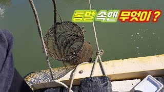 통발낚시_ 바다통발과 민물통발을 바다에 넣어봤습니다. fish trap