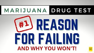 YOU WILL PASS YOUR DRUG TEST if YOU WATCH THIS VIDEO