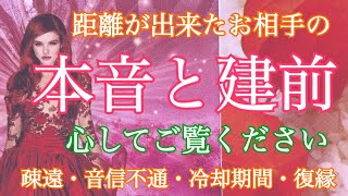 厳しめ注意🙇‍♀️⚠️距離が出来たお相手の本音と建前【疎遠・音信不通・冷却期間・復縁】✨スピリチュアル辛口リーディング【タロット占い・霊感】💗個人鑑定級💗