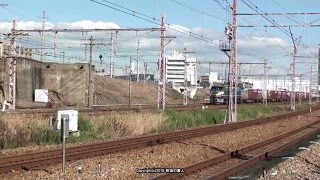 JR貨物　EF66 27号機が牽引する81ﾚ貨物列車（H28.1.9)