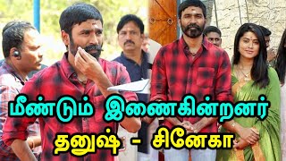 Dhanush 39: தனுஷ்- சினேகா மீண்டும் இணைந்து நடிக்கும் தனுஷ் 39 படப்பிடிப்பு குற்றாலத்தில் தொடங்கியது-