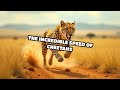 The Incredible Speed of Cheetahs