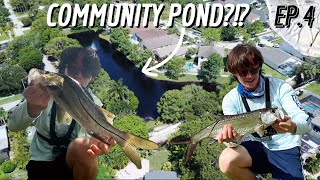 SNEAKING into PRIVATE COMMUNITY PONDS for SNOOK AND TARPON!!! (CHASING SILVER EP.4)