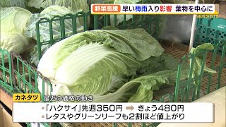 葉物野菜高騰　早い梅雨入りで九州の収穫量減が原因（静岡県）