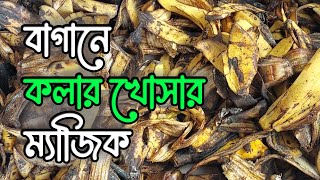 কলার খোসা সার ছাদ বাগানে সবজি চাষ এর  মাটির উর্বরতা বৃদ্ধি Banana Peel Fertilizer