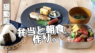 【料理動画♯24】猫と台所。お弁当と並行で和朝食を作る。【猫動画】