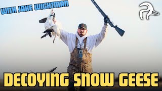 Decoying Snow Geese Vs. Jump-Shooting