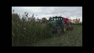 Semis direct de féverole dans un couvert végétal de sorgho fourrager et de crotalaire