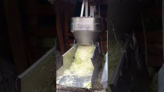 🌟AMAZING CABBAGE SHREDDER MACHINE🌟 | STEP in Poland