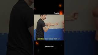 10 Minute Wing Chun Workout Exercises - Routine 1 - Punching and Moving Part 6 #shorts