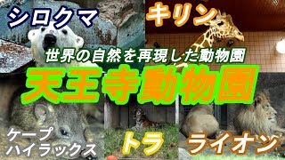 サバンナ等の世界の自然を再現した動物園　天王寺動物園 EOS Kiss Mにて撮影