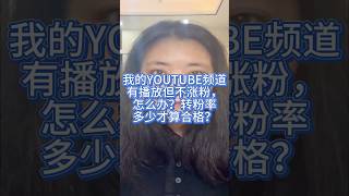 海外私域营销之十万个为什么：我的YOUTUBE频道有播放但不涨粉，怎么办？转粉率多少才算合格？