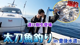 【太刀魚釣り】やっぱり豊後水道はすごかった！！