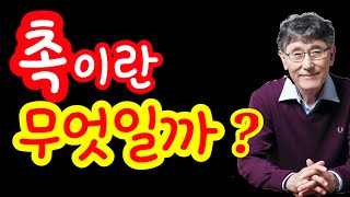 촉(직감)이란 무엇일까? [240]