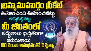 బ్ర‌హ్మ‌ముహుర్తం అద్భుతాలు | Brahma Muhurta Miracles | 108 Years Baba Santh Sadhanananda Giri | TSW