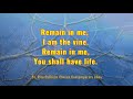 Remain In Me - Steve Angrisano