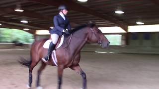 Wren Wakeman and Sailor - Walk Trot Canter IHSA @ Goucher