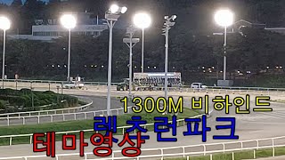 렛츠런파크 테마 영상 부상 입은 경주마/1300M 비하인드#서울경마공원