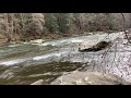 a walk in the woods. hiking mcconnells mill state park pennsylvania.