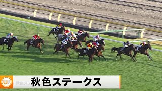 【2022】秋色ステークス 東京競馬場10R ｜ウイニング競馬 2022年11月19日（土）