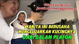 WANITA INI BERHASIL MENGELUARKAN KUCINGNYA YANG TERJEBAK DI DALAM PLAFON 🔴