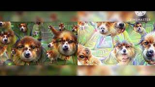 Google Deep Dream Zoom - Side by Side
