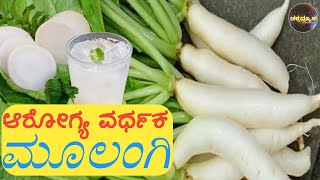 Radish  in Kannada : ಮೂಲಂಗಿ ತಿನ್ನುವುದರಿಂದಾಗುವ ಆರೋಗ್ಯ ಪ್ರಯೋಜನಗಳಿವು