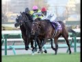 有馬記念の枠順、ドウデュースは１枠２番…ダノンデサイルは１枠１番・アーバンシックは２枠３番