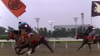 相馬野馬追 甲冑競馬（2017年8月11日、東京・大井競馬場）