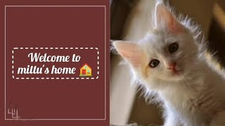 Hello guys...🐾 എന്റെ പേര് മിട്ടു 😻 my first youtube video 😍