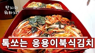 톡쏘는 응용이북식 김치