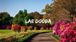 Sunidhi Chauhan - Lae Dooba (Lyrics video)