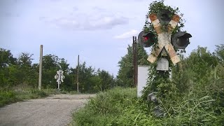 Spoorwegovergang Dumbrava (RO) // Railroad crossing // Trecere la nivel