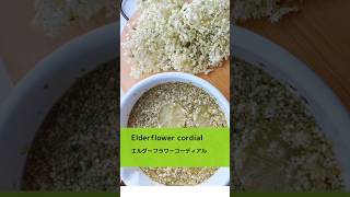 Elderflower cordial エルダーフラワーコーディアル #shorts #elderflower #エルダーフラワー