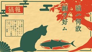 【雑学】なぜ猫は矢鱈とマグロにまっしぐらなのか